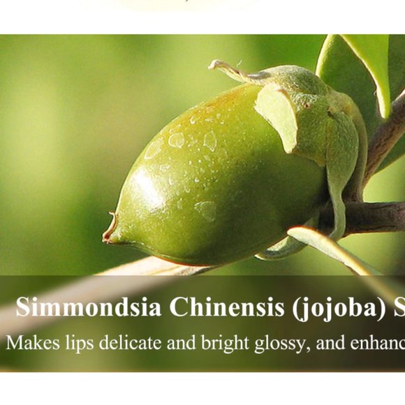 Hyaluronic Acid Nourishing Lip Balm - Picture 12 of 14